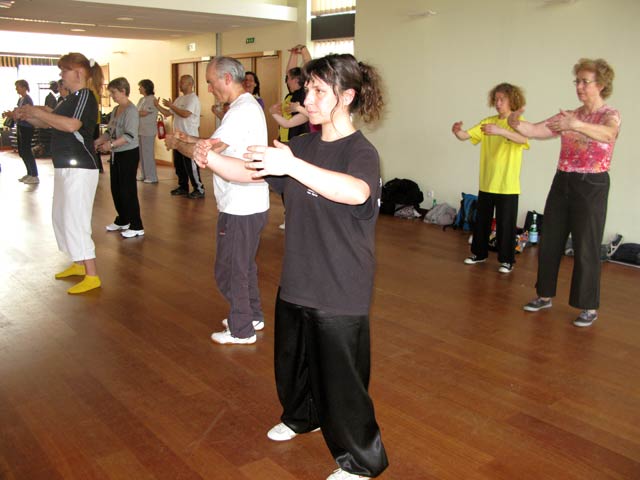 Tai Ji Quan - Canteleu - satge G.Saby 2012