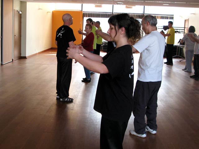 Tai Ji Quan - Canteleu - satge G.Saby 2012