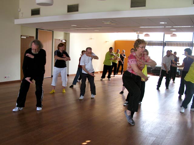 Tai Ji Quan - Canteleu - satge G.Saby 2012