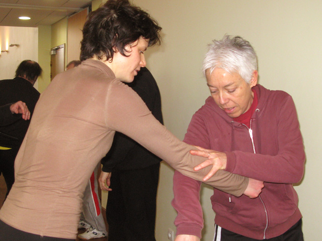 Tai Ji Quan - Canteleu - satge G.Saby 2013