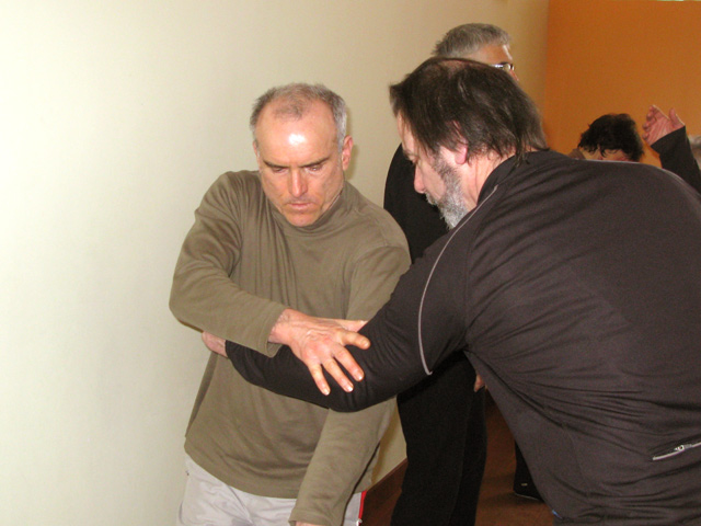 Tai Ji Quan - Canteleu - satge G.Saby 2013