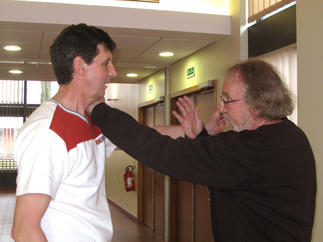 Tai Ji Quan - Canteleu - satge G.Saby 2013