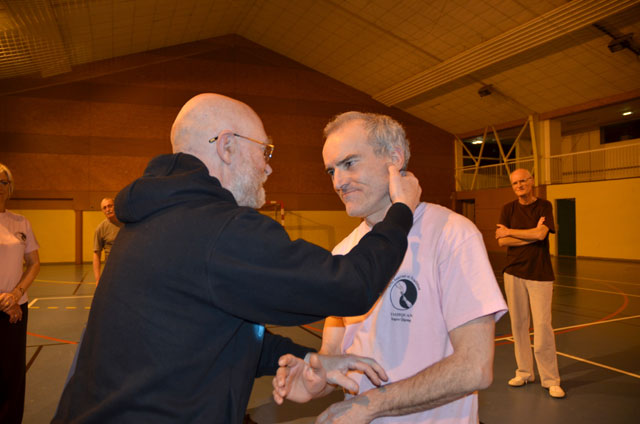 Tai Ji Quan - Canteleu - stage G.Saby 2014