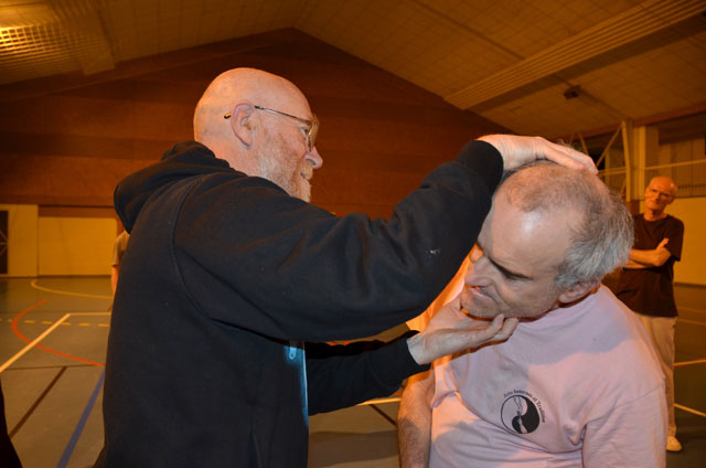 Tai Ji Quan - Canteleu - stage G.Saby 2014