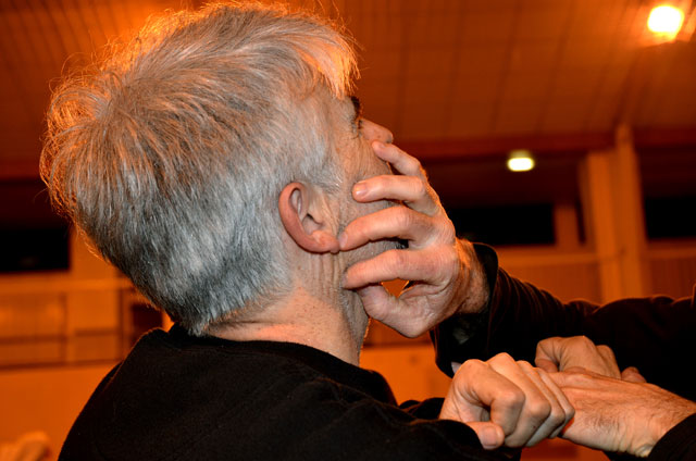 Tai Ji Quan - Canteleu - stage G.Saby 2014