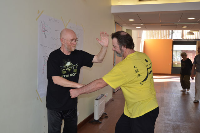 Tai Ji Quan - Canteleu - stage G.Saby 2014