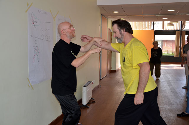 Tai Ji Quan - Canteleu - stage G.Saby 2014