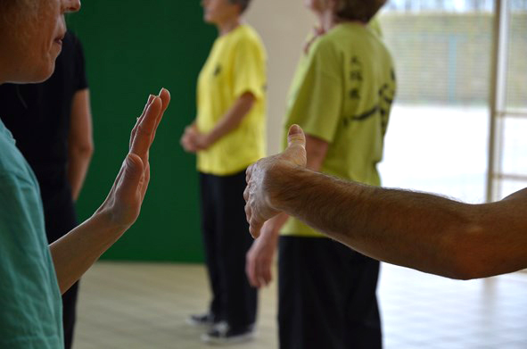 Tai Ji Quan - Canteleu - stage G.Saby 2015