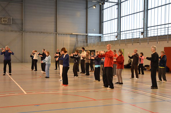 Tai Ji Quan - Canteleu - stage G.Saby 2015
