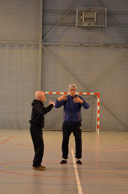 Tai Ji Quan - Canteleu - stage G.Saby 2015
