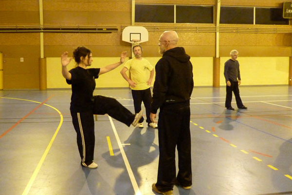 Tai Ji Quan - Canteleu - stage G.Saby 2015