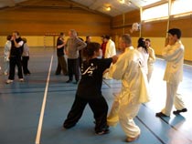 Tuishou mai 2010