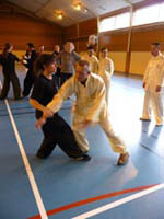 Tuishou mai 2010
