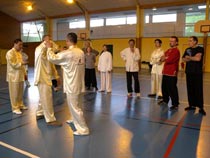 Tuishou mai 2010