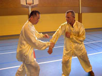 Tuishou