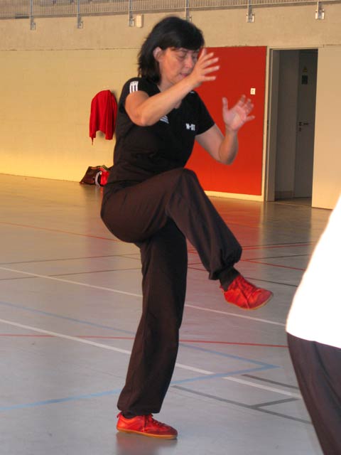 Tai Ji Quan Yang Lu Chan- Canteleu 2012