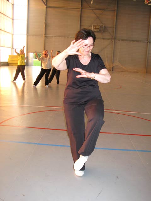 Tai Ji Quan Yang Lu Chan- Canteleu 2012