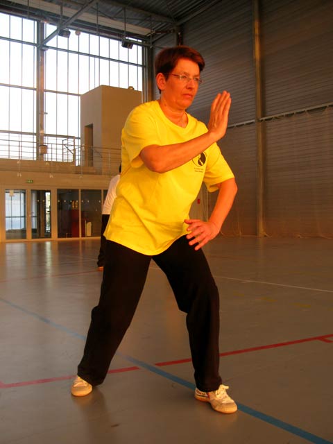 Tai Ji Quan Yang Lu Chan- Canteleu 2012