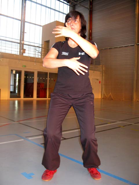 Tai Ji Quan Yang Lu Chan- Canteleu 2012