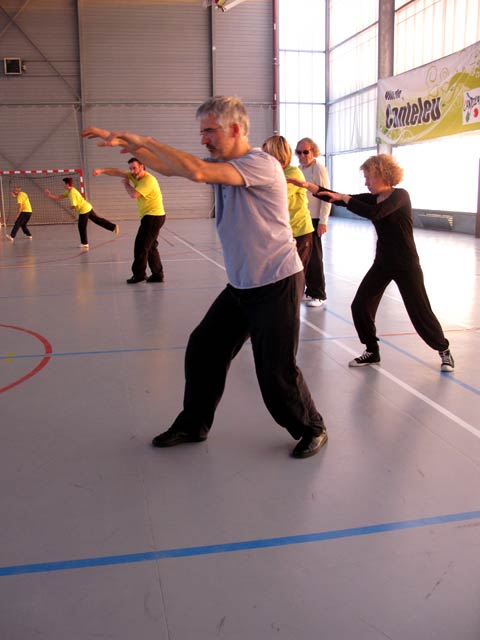 Tai Ji Quan Yang Lu Chan- Canteleu 2012