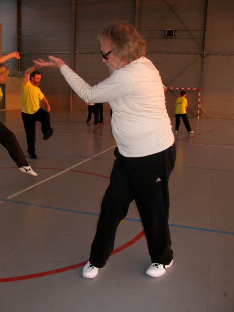 Tai Ji Quan Yang Lu Chan- Canteleu 2012