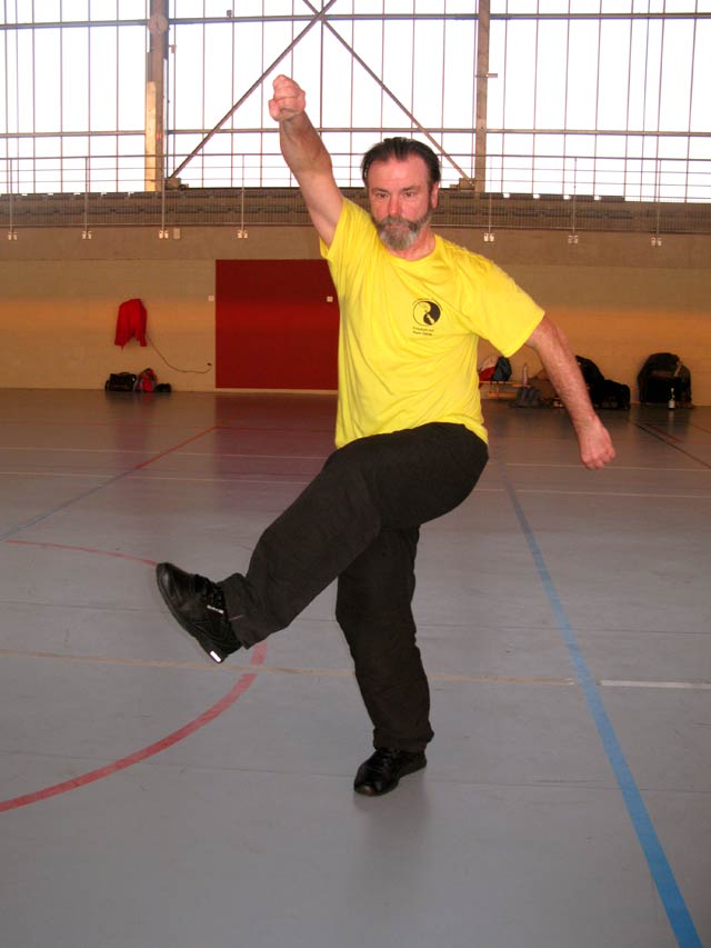 Tai Ji Quan Yang Lu Chan- Canteleu 2012