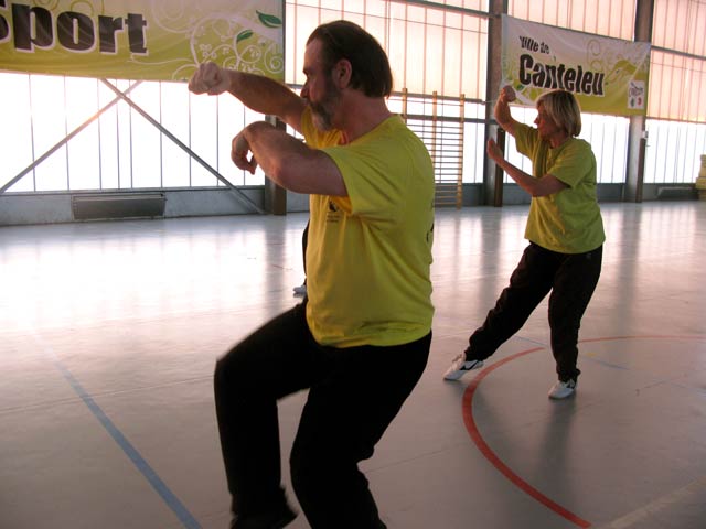 Tai Ji Quan Yang Lu Chan- Canteleu 2012