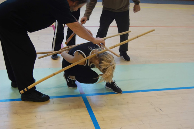 Tai Chi et Qi Gong - Canteleu - Rencontres Normandes 2018