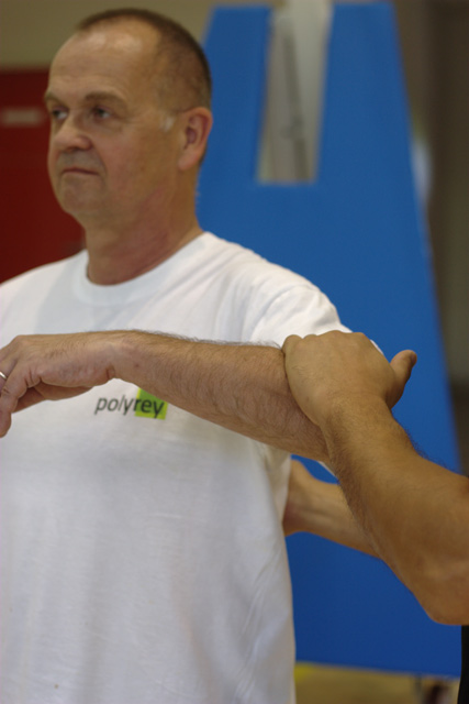 Tai Chi et Qi Gong - Canteleu - Rencontres Normandes 2018