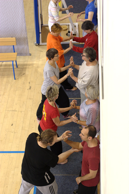 Tai Chi et Qi Gong - Canteleu - Rencontres Normandes 2018