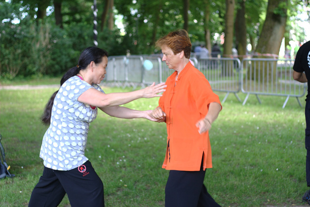 Tai Chi et Qi Gong - Canteleu - Rencontres Normandes 2018