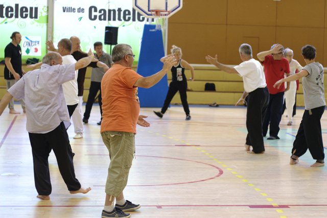 Tai Chi et Qi Gong - Canteleu - Rencontres Normandes 2018