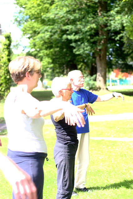 Tai Chi et Qi Gong - Canteleu - Rencontres Normandes 2018